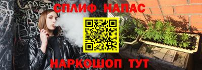 прущие грибы Канаш