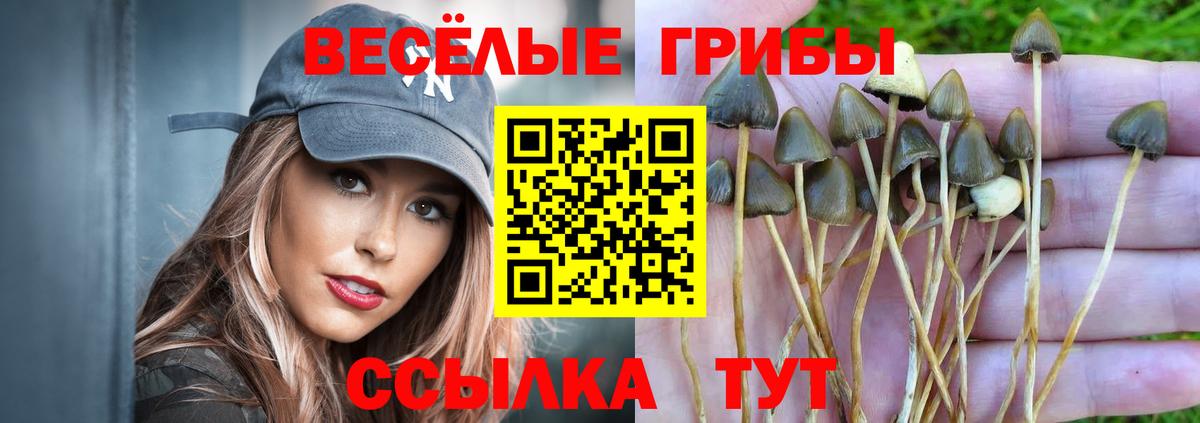 Корсаков  Галлюциногенные грибы GOLDEN TEACHER  Вход с VPN  где купить наркоту  Галлюциногенные грибы мухоморы 