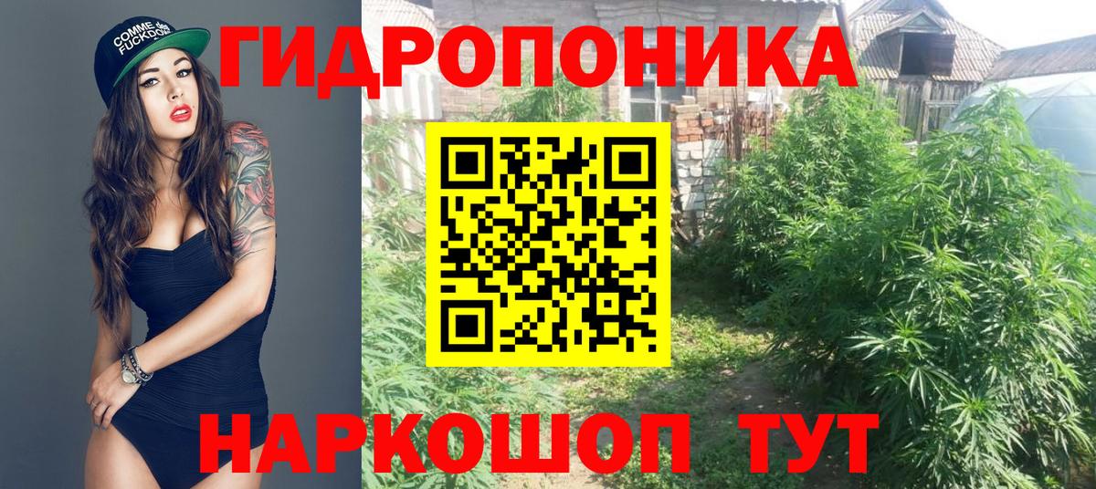 Бошки марихуана конопля  Каннабис Ganja  Вход с VPN  Канабис SATIVA & INDICA  Корсаков 
